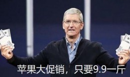 男网红吃瓜群,男网红们的八卦盛宴